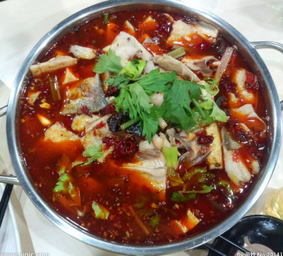重慶冷鍋魚技術榴莲影视下载污