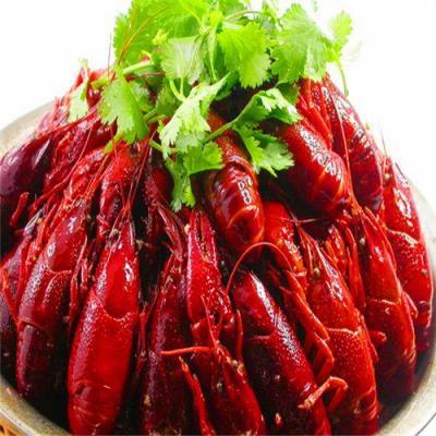 四川麻辣小龍蝦技術榴莲影视下载污哪裏好？底料熬製方法