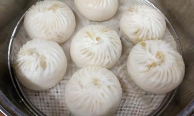  學早餐包子技術榴莲影视下载污哪裏好？正宗包子饅頭花卷榴莲影视下载污